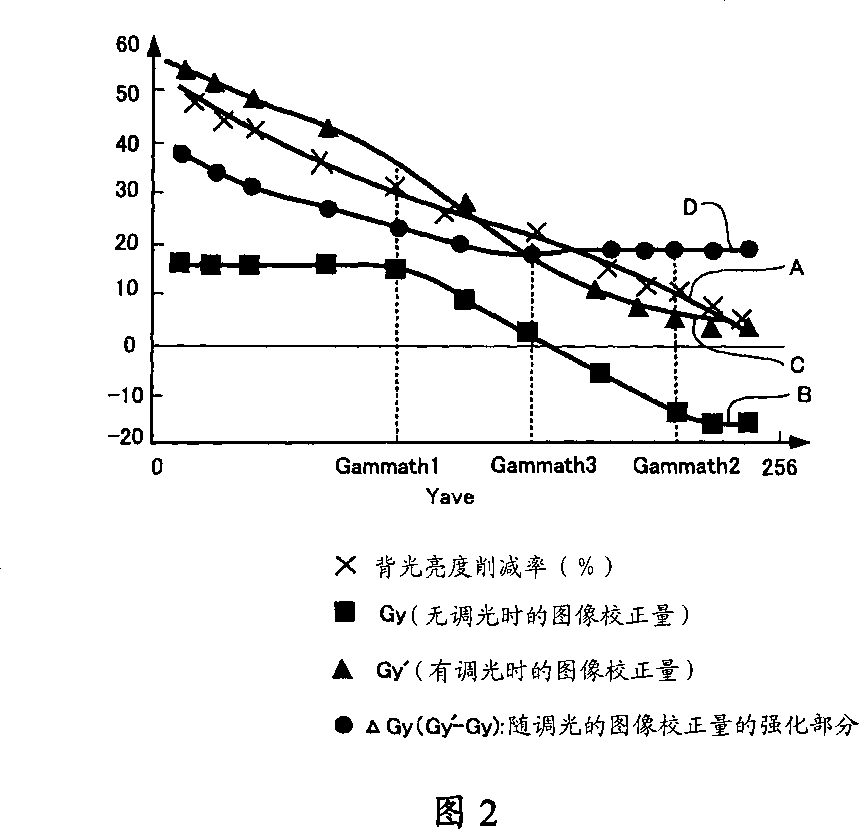 Image display control device