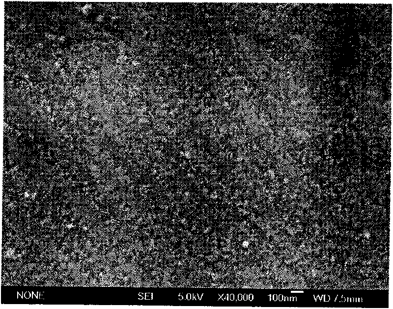 Zinc oxide/titanium dioxide hybrid electrode and preparation method thereof