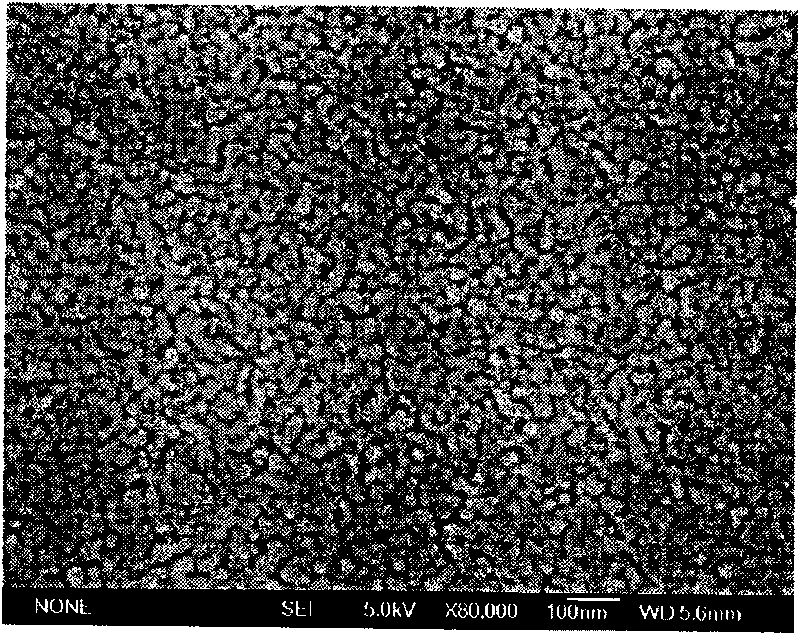 Zinc oxide/titanium dioxide hybrid electrode and preparation method thereof