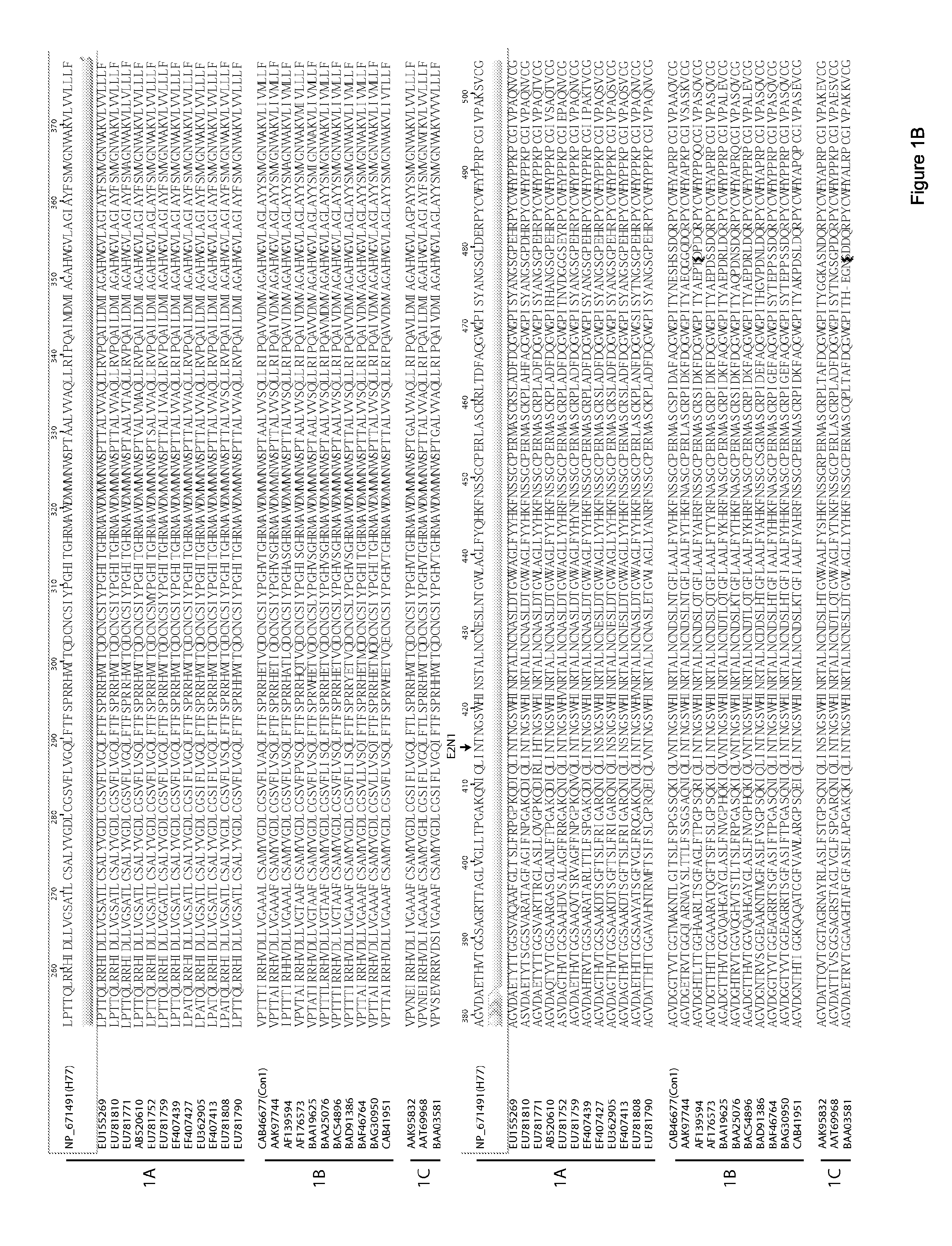 E1e2 hcv vaccines and methods of use