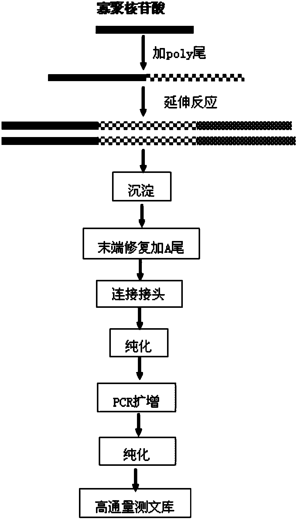 Method for analyzing impurities of oligonucleotide sequence based on high-throughput sequencing and application