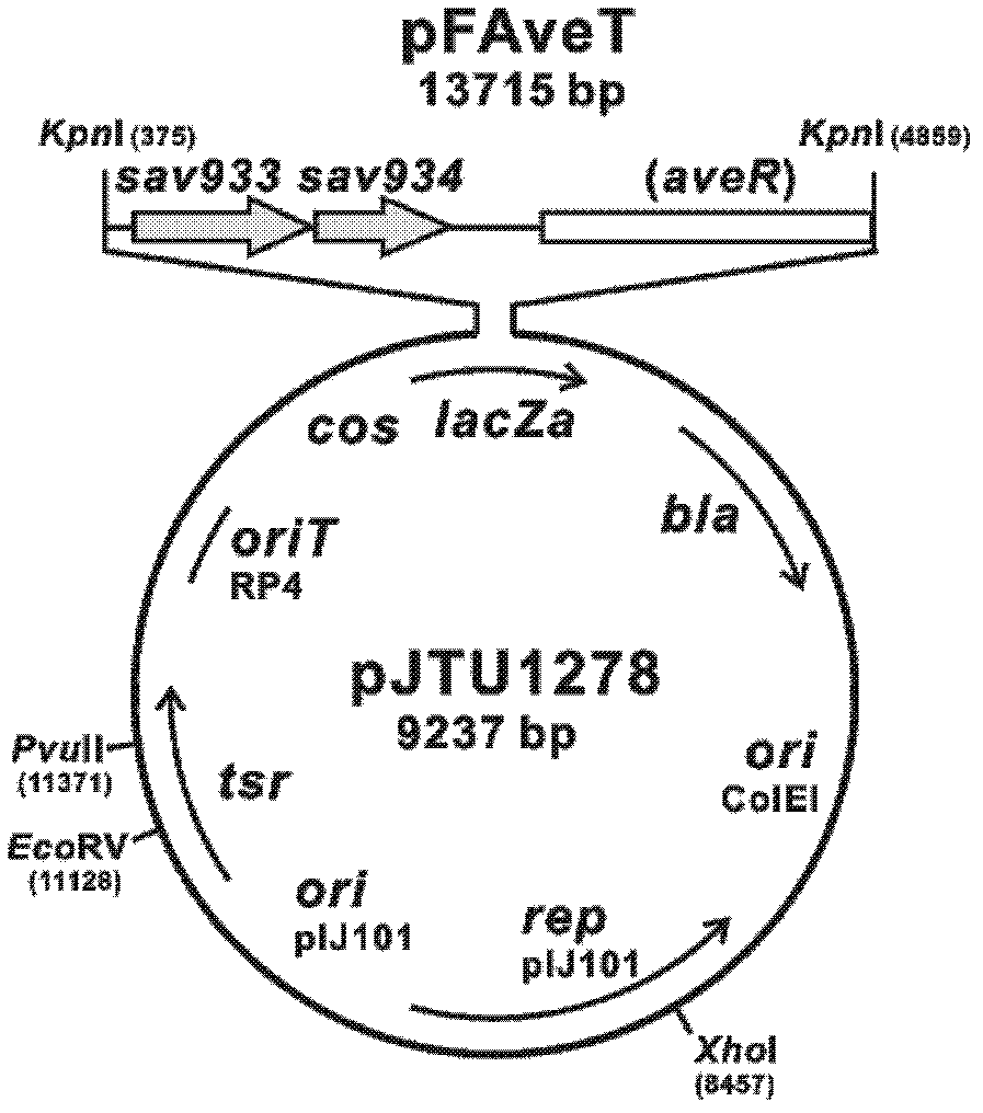 Optimized production method of abamectin