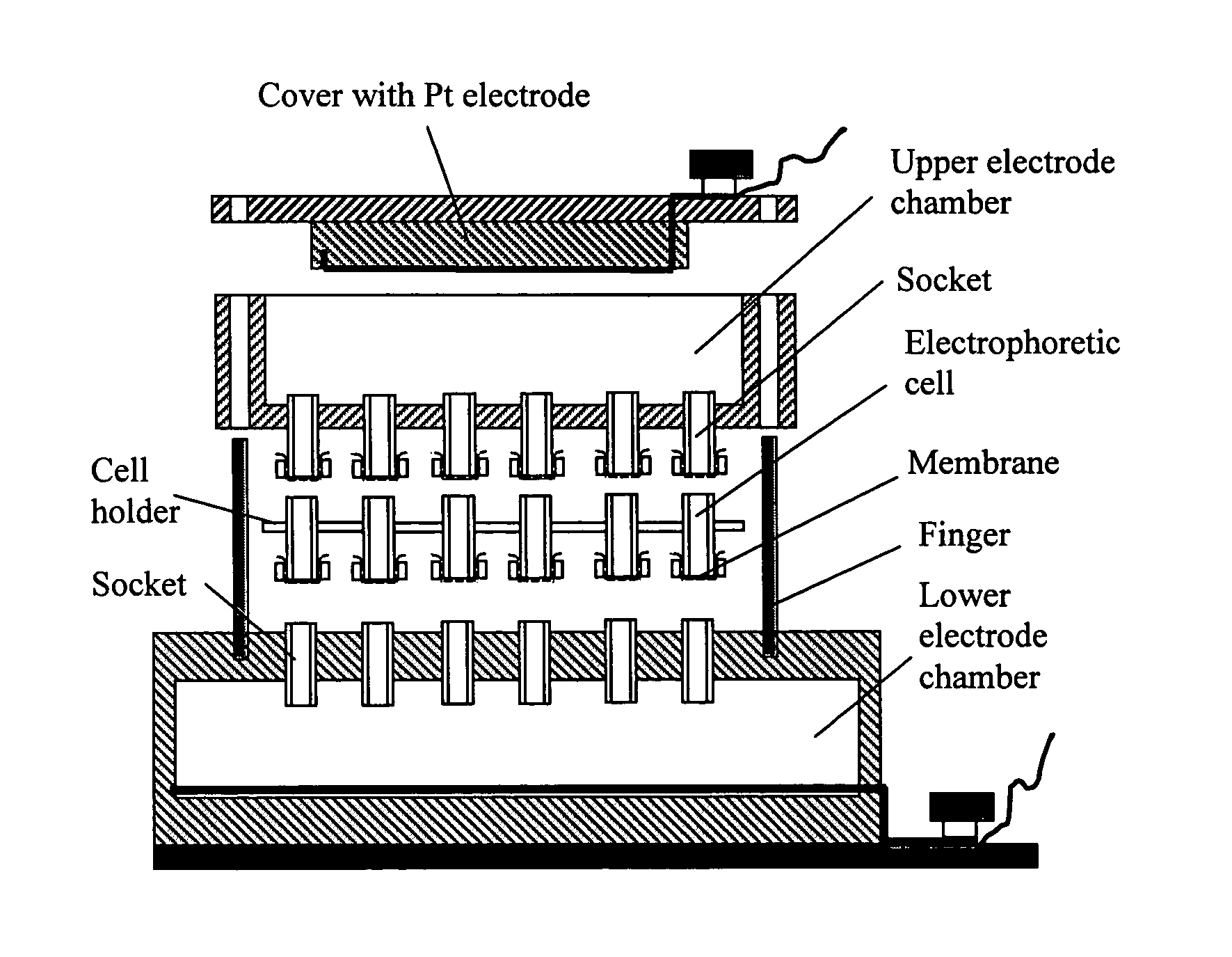 Methods and devices for active bioassay