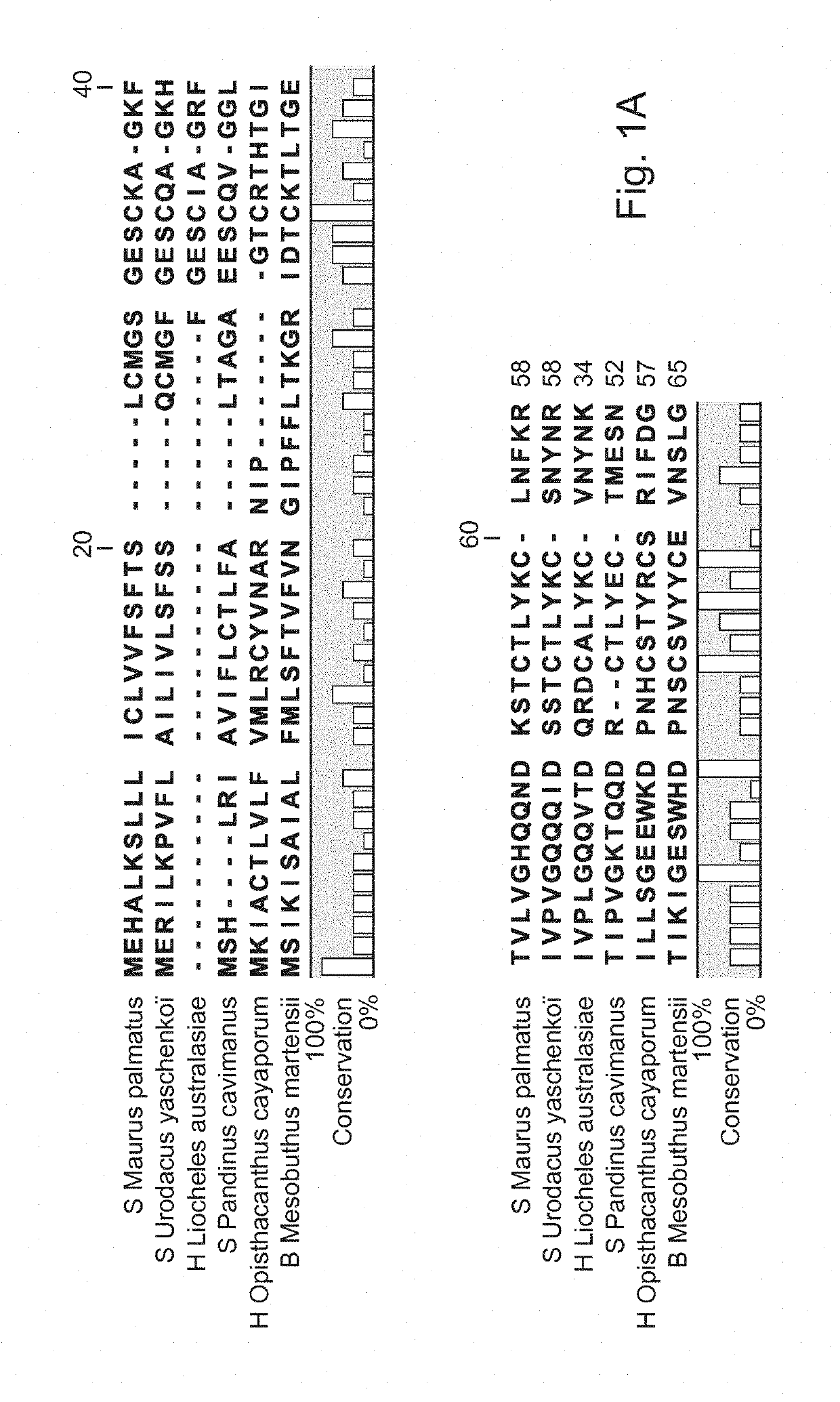 Use of la1-like peptide isolated from maurus palmatus venom as an activator of sperm motility in mammals