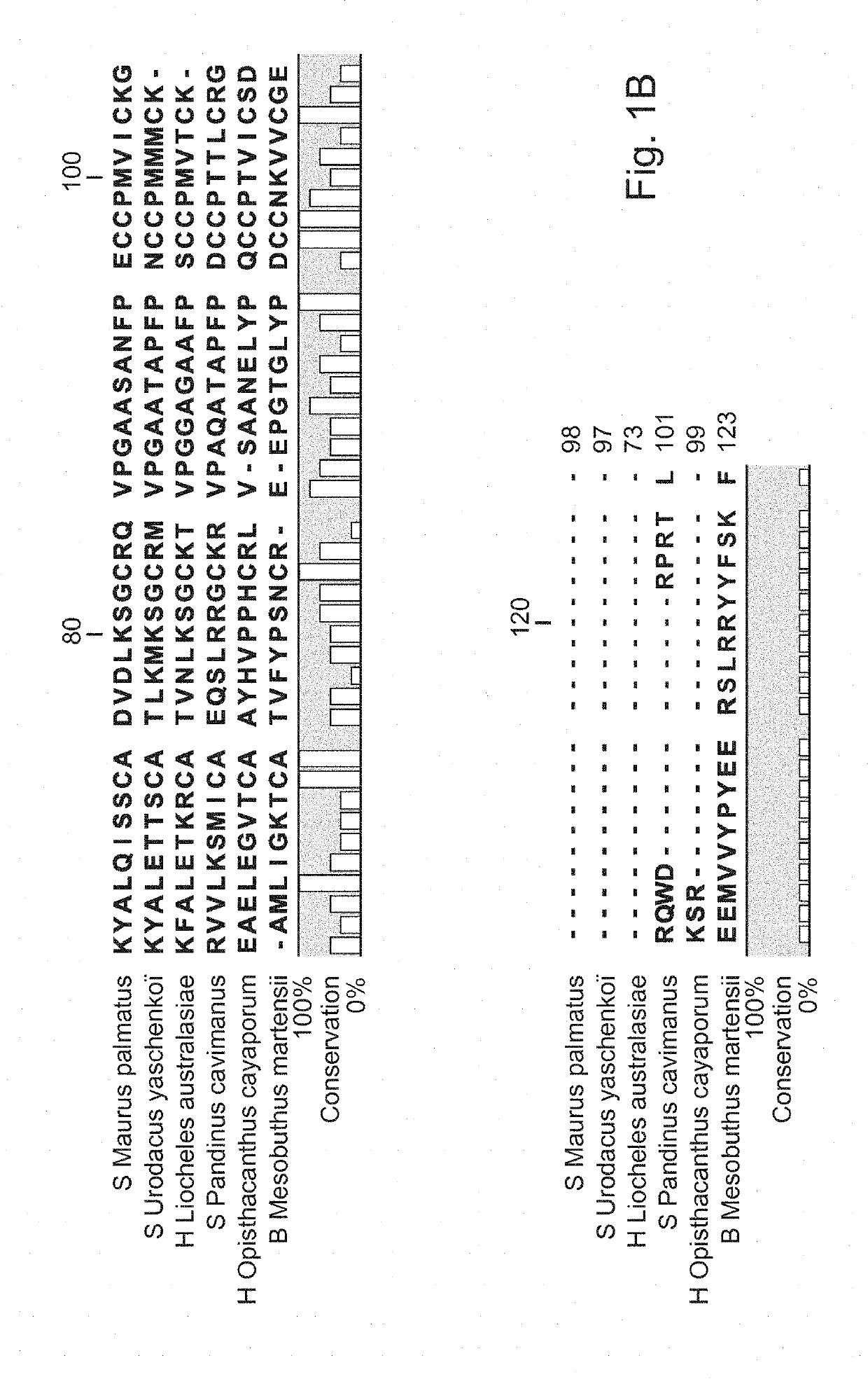 Use of la1-like peptide isolated from maurus palmatus venom as an activator of sperm motility in mammals