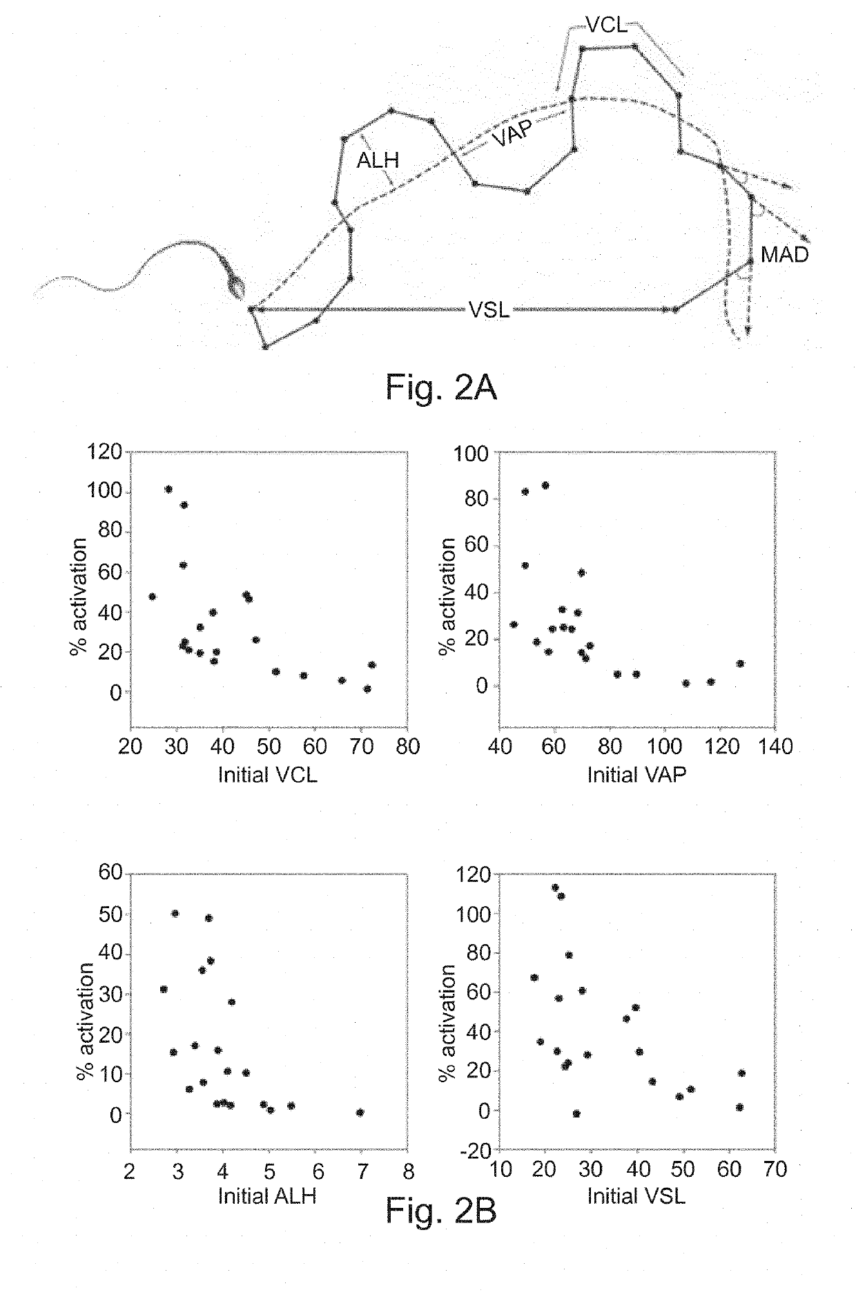 Use of la1-like peptide isolated from maurus palmatus venom as an activator of sperm motility in mammals