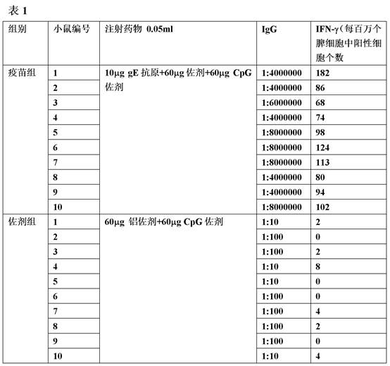 Varicella-zoster virus gE protein mutant and expression method thereof