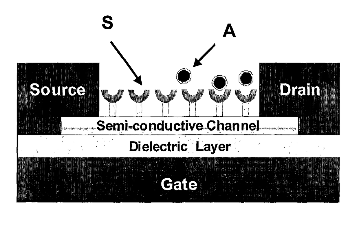 Chemically sensitive field effect transistors and uses thereof in electronic nose devices