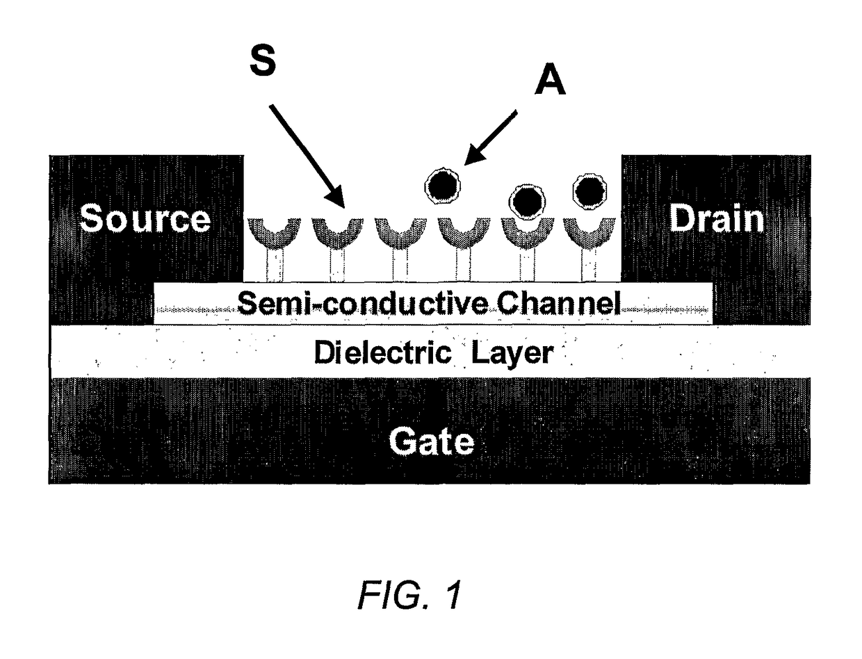 Chemically sensitive field effect transistors and uses thereof in electronic nose devices