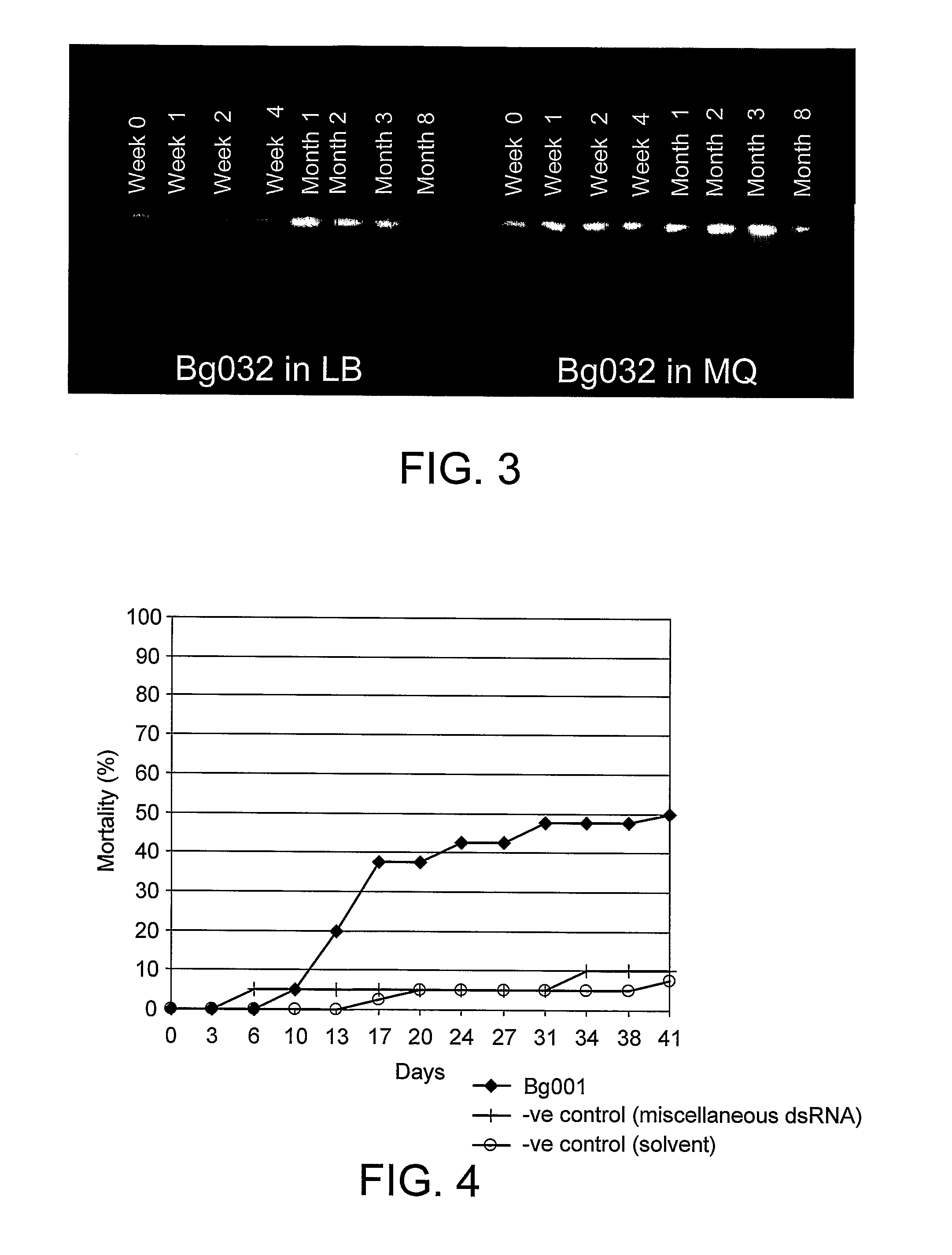 RNAi for the control of insects and arachnids