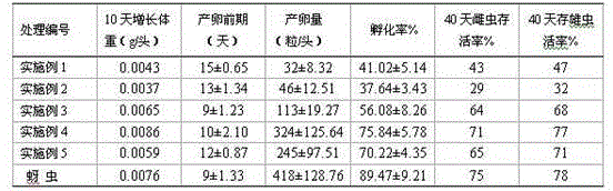 Artificial feed for raising adult coccinella septempunctata as well as preparation method and application of artificial feed