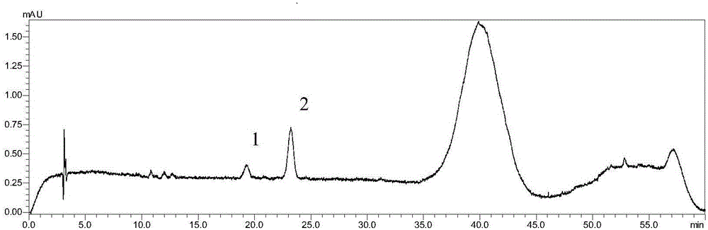 Preparation method of pure natural ligustrum quihoui carr fruit's anthocyanin