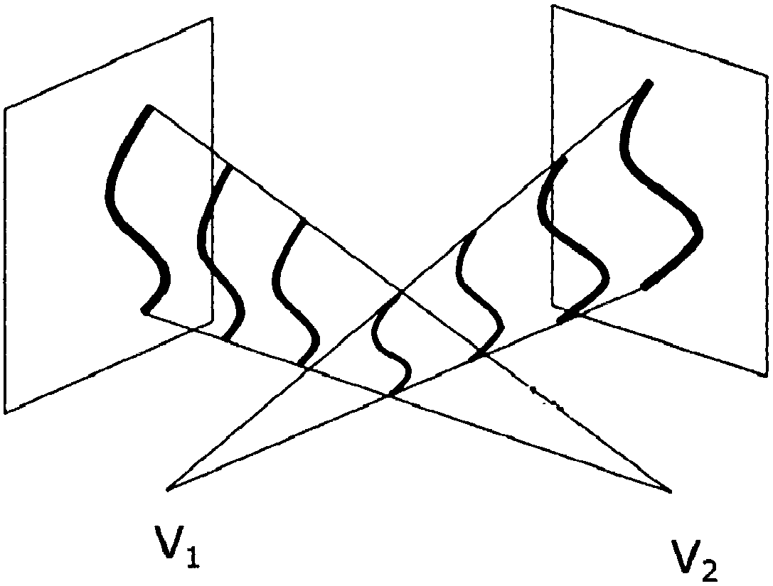 System for calculating coronary fractional flow reserve based on arteriography images