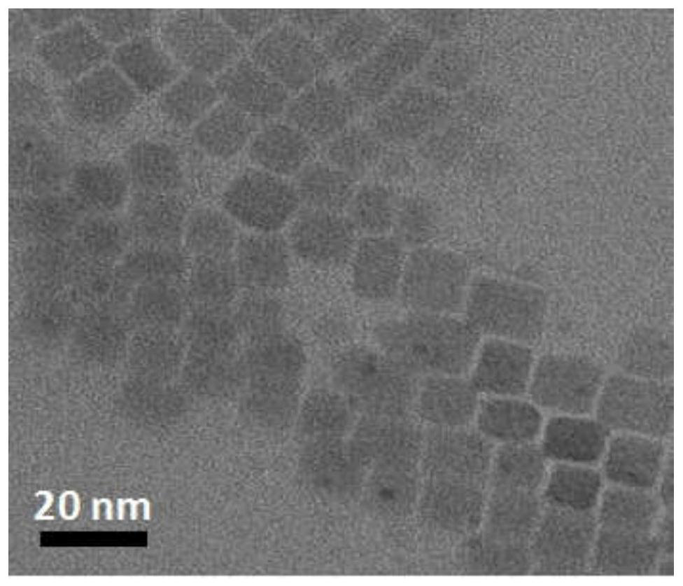 A stably dispersed all-inorganic perovskite cspbbr  <sub>3</sub> Preparation method of nanocrystals