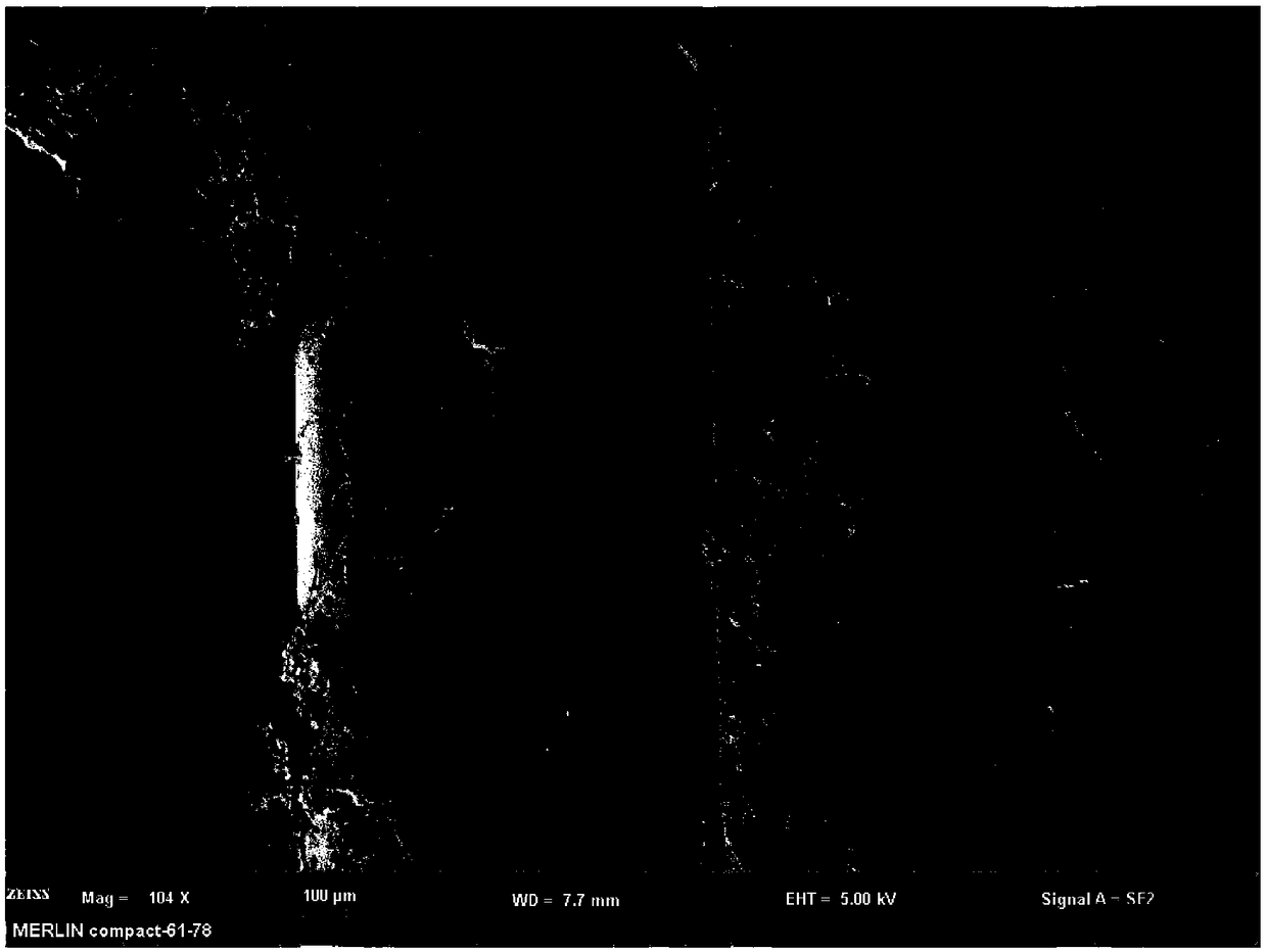 Method for modifying nano-decalcification bone matrix particle coating layer by virtue of polycaprolactone-tricalcium phosphate bone tissue engineering scaffold