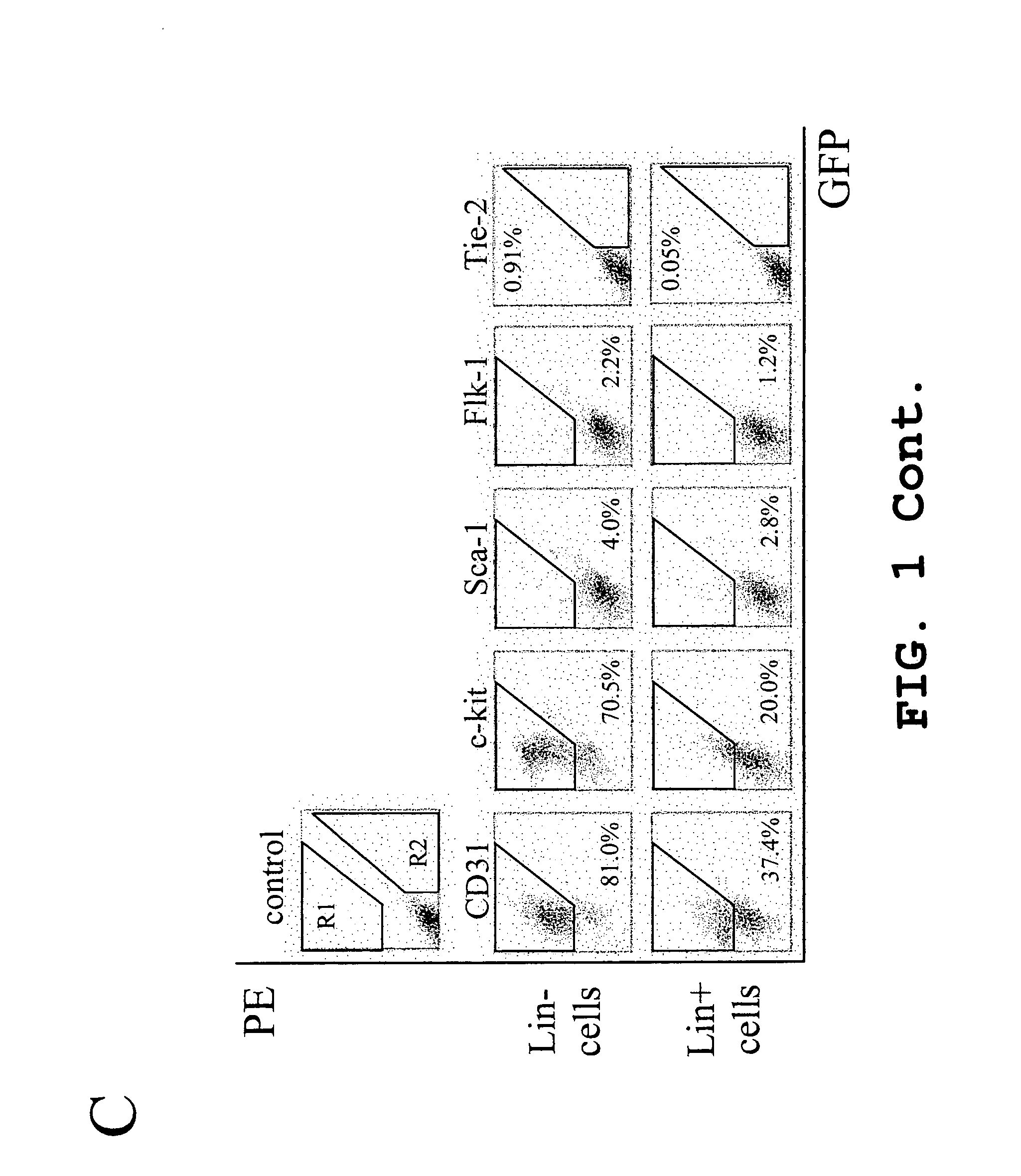 Hematopoietic stem cells and methods of treatment of neovascular eye diseases therewith