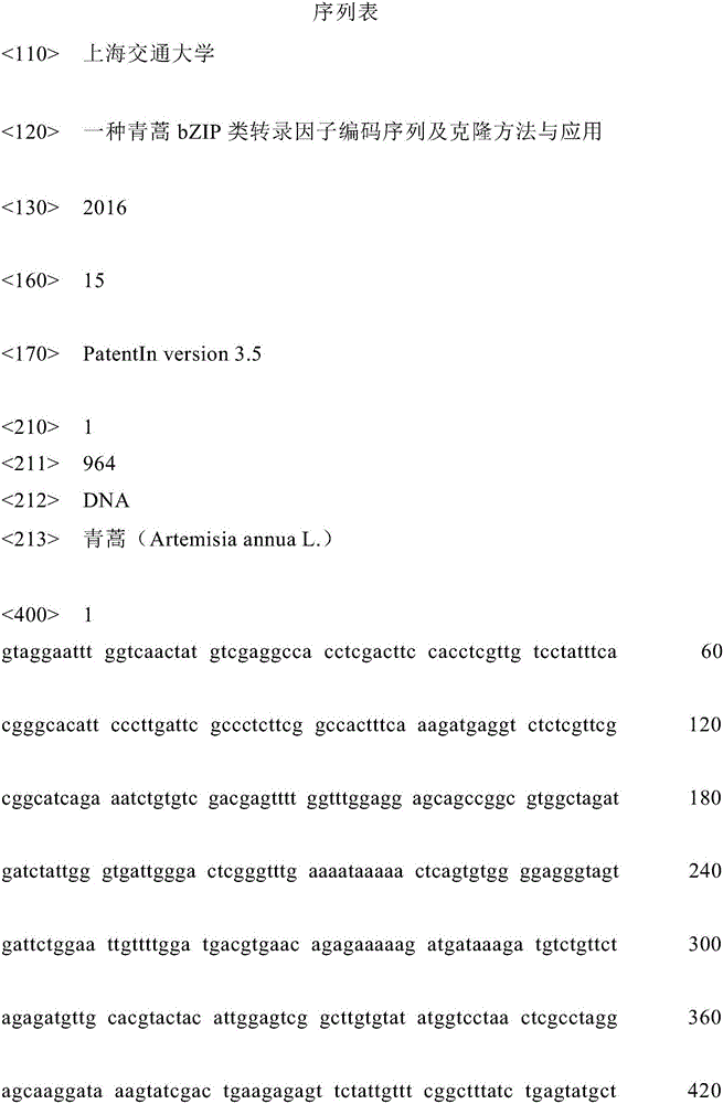 Artemisia apiacea bZIP-type transcription factor encoding sequence, cloning method and application