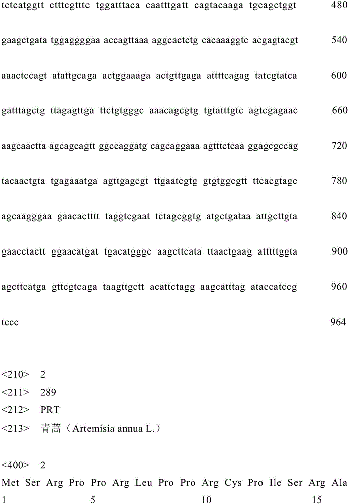 Artemisia apiacea bZIP-type transcription factor encoding sequence, cloning method and application