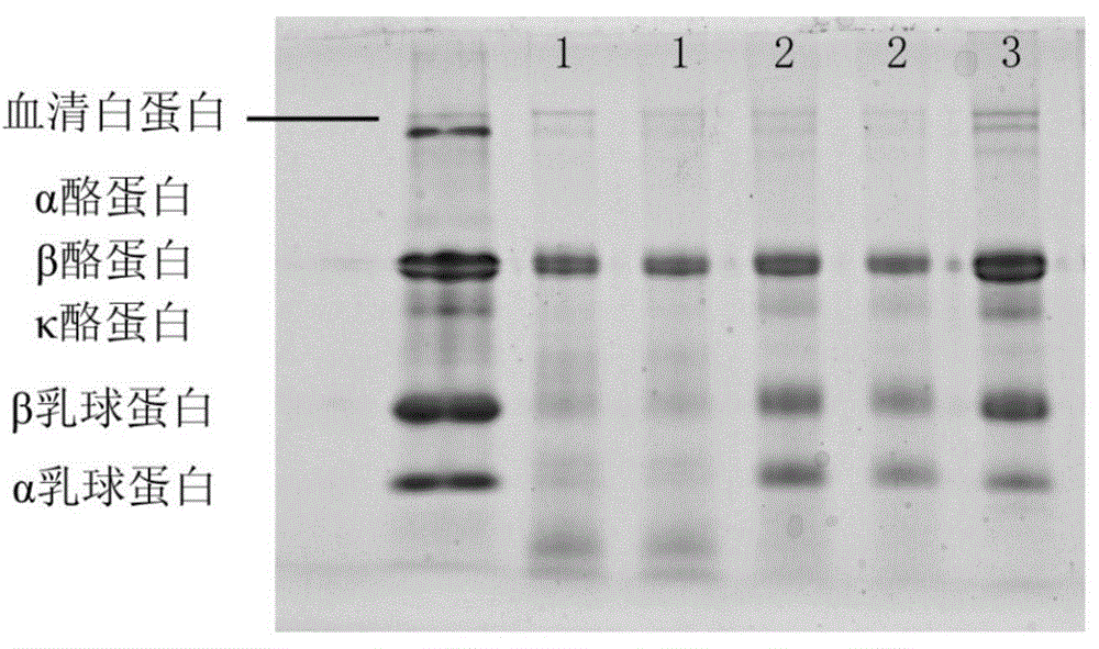 Preparation and detecting method for muting sensitive infant formula milk powder