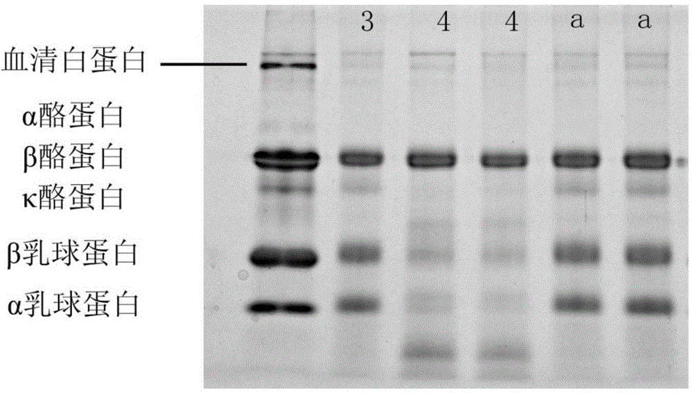 Preparation and detecting method for muting sensitive infant formula milk powder