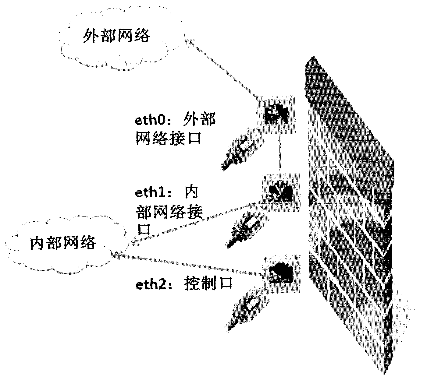 Immunological network system