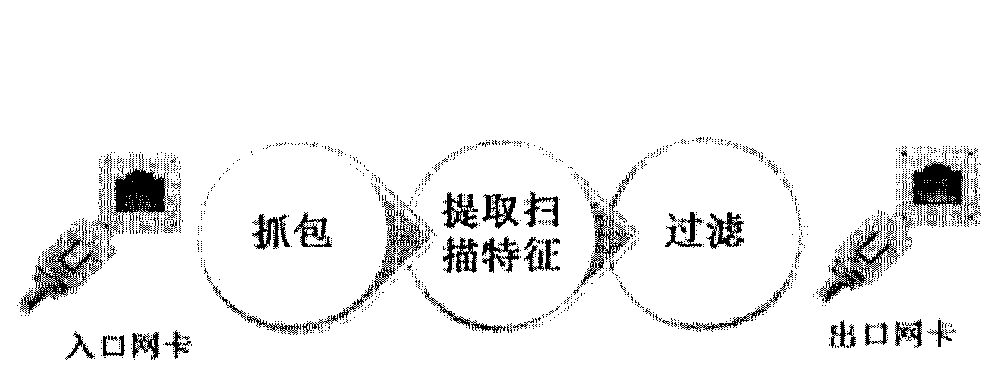 Immunological network system