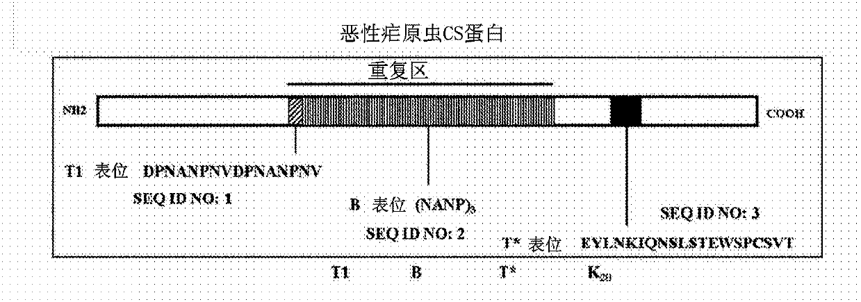 Anti-malaria compositions and methods