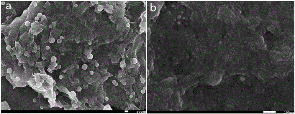 Ionic liquid functional composite membrane modified electrode and preparation method and application thereof to detection of chlorophenol