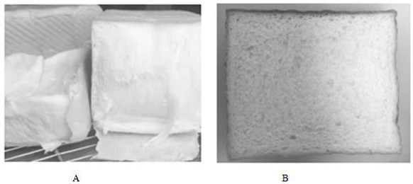 Frozen anti-aging toast slice with long shelf life