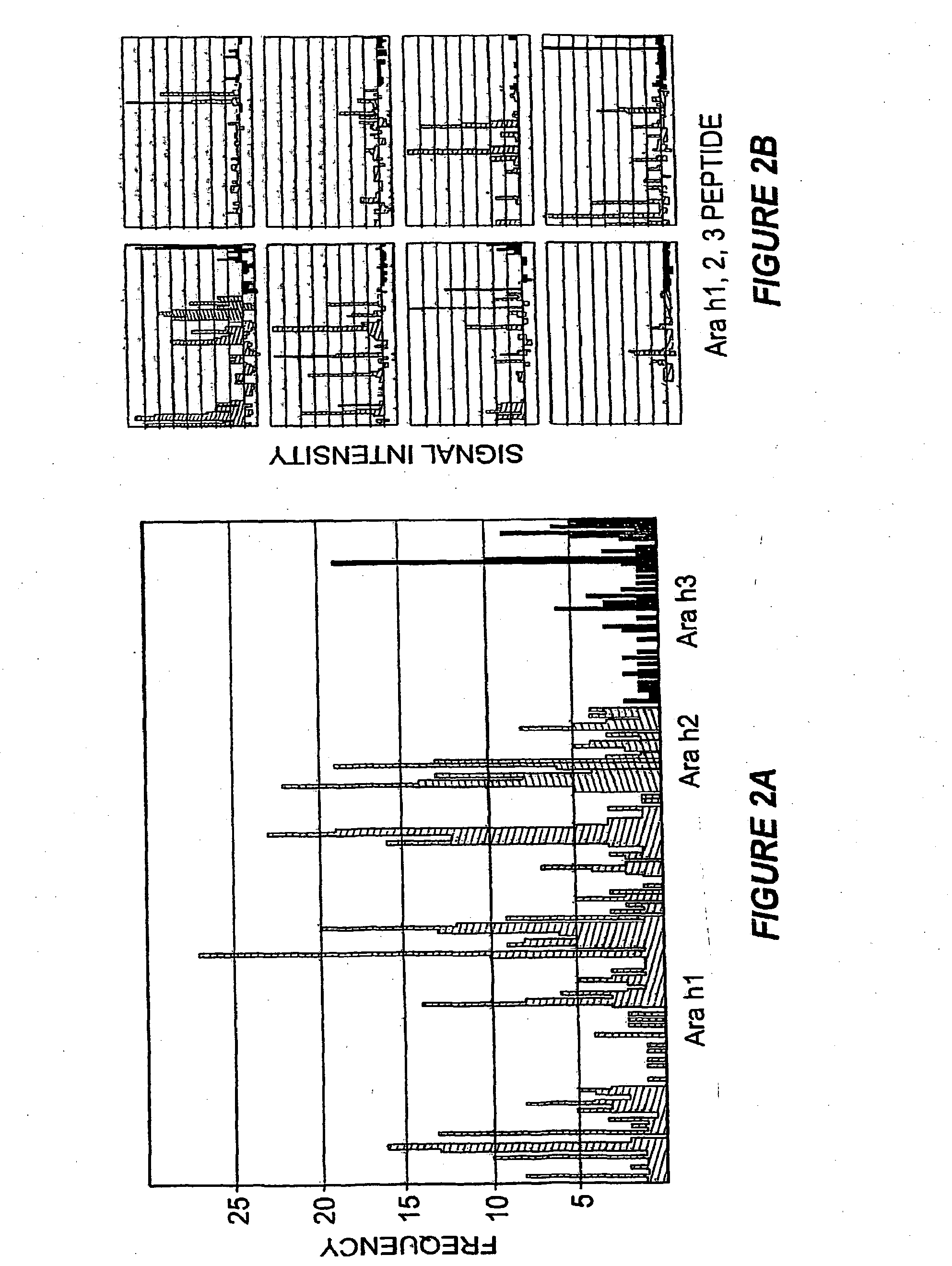 Methods Of Determining Allergen Response Using Microarray Immunoassay Techniques