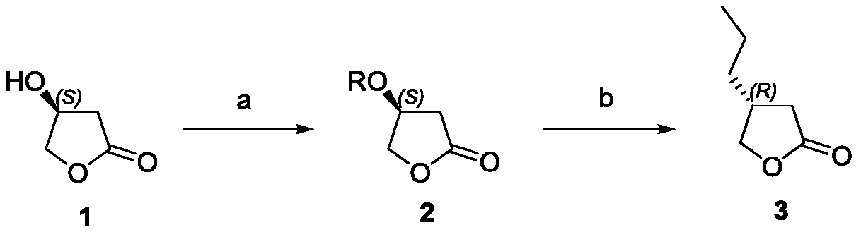 A preparation method of (r)-3-propyl-γ-butyrolactone