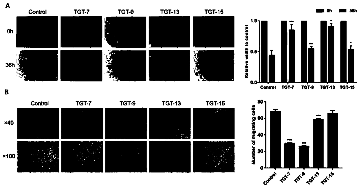 C21 steroid saponin compound in marsdenia tenacissima stem, and applications thereof