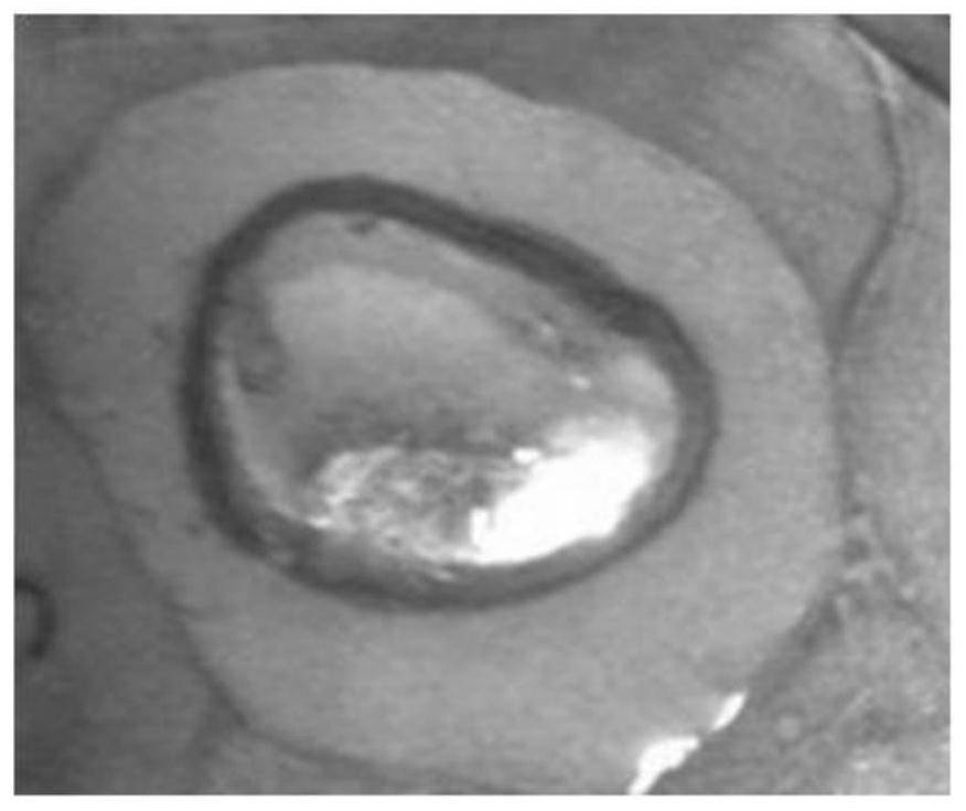 A kind of bismuth-based alloy solder paste composition