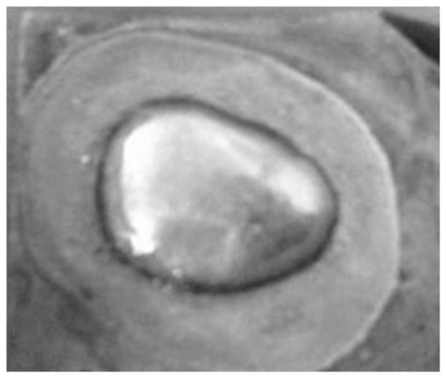 A kind of bismuth-based alloy solder paste composition