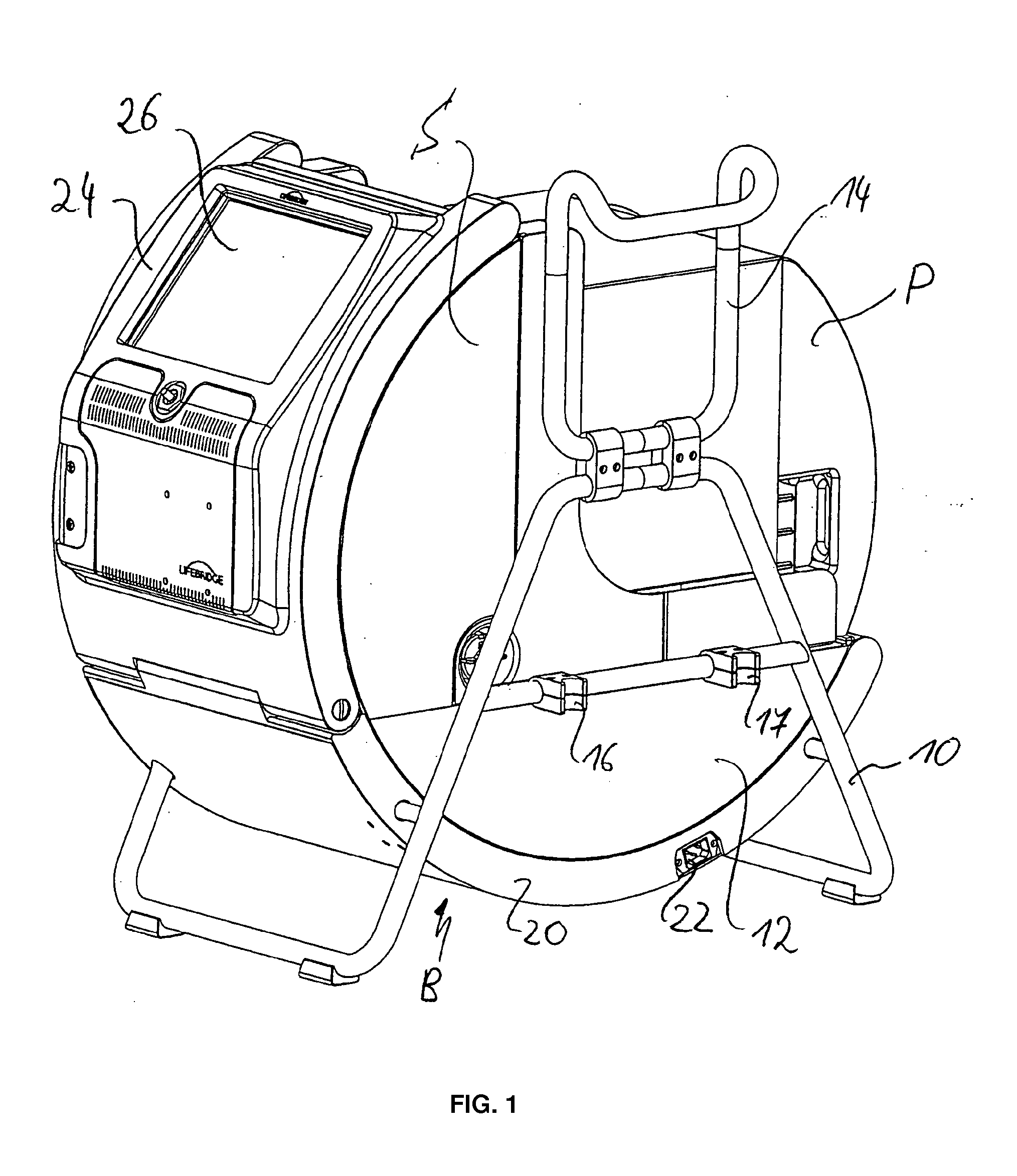 Cardiopulmonary Apparatus And Methods For Preserving Organ Viability