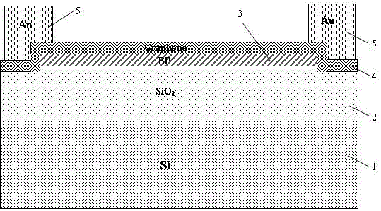 Graphene-phosphorus heterojunction photodetector and manufacturing method