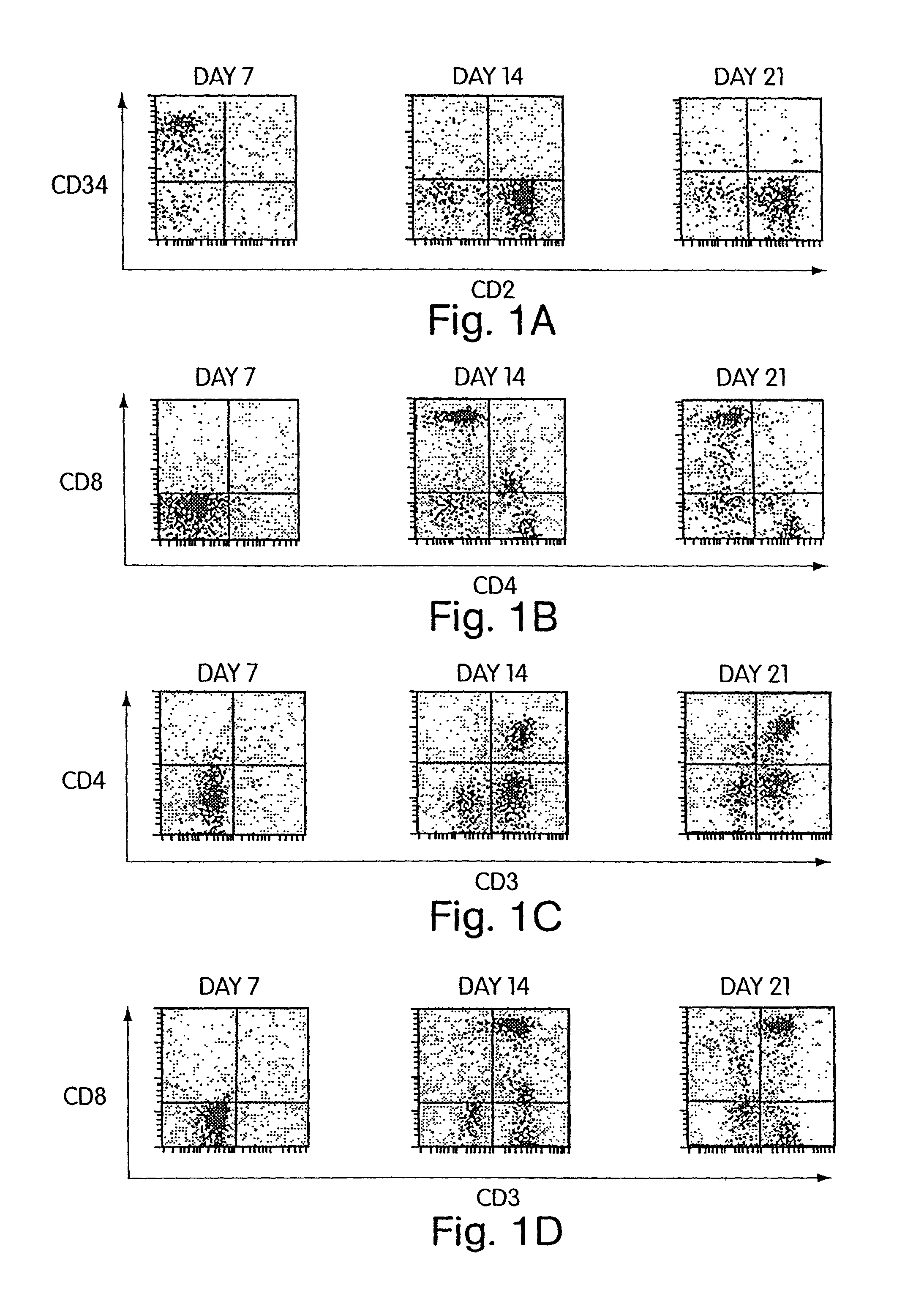 Lymphoid tissue-specific cell production from hematopoietic progenitor cells in three-dimensional devices