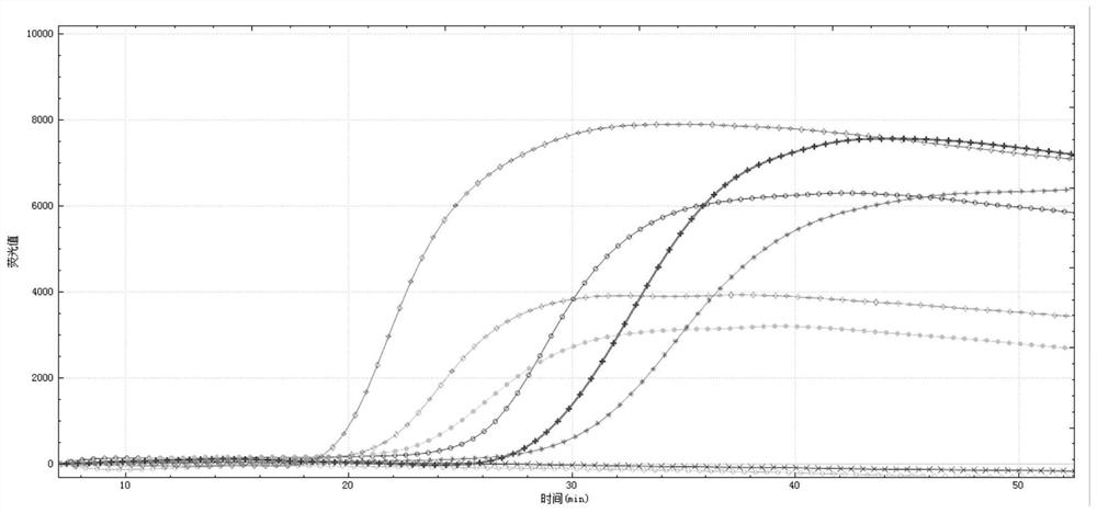 High-throughput micro-fluidic LAMP chip for detecting livestock respiratory tract pathogens and detection method