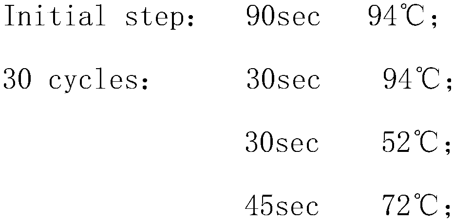 Method for detecting telomerase activity in liquid biopsy