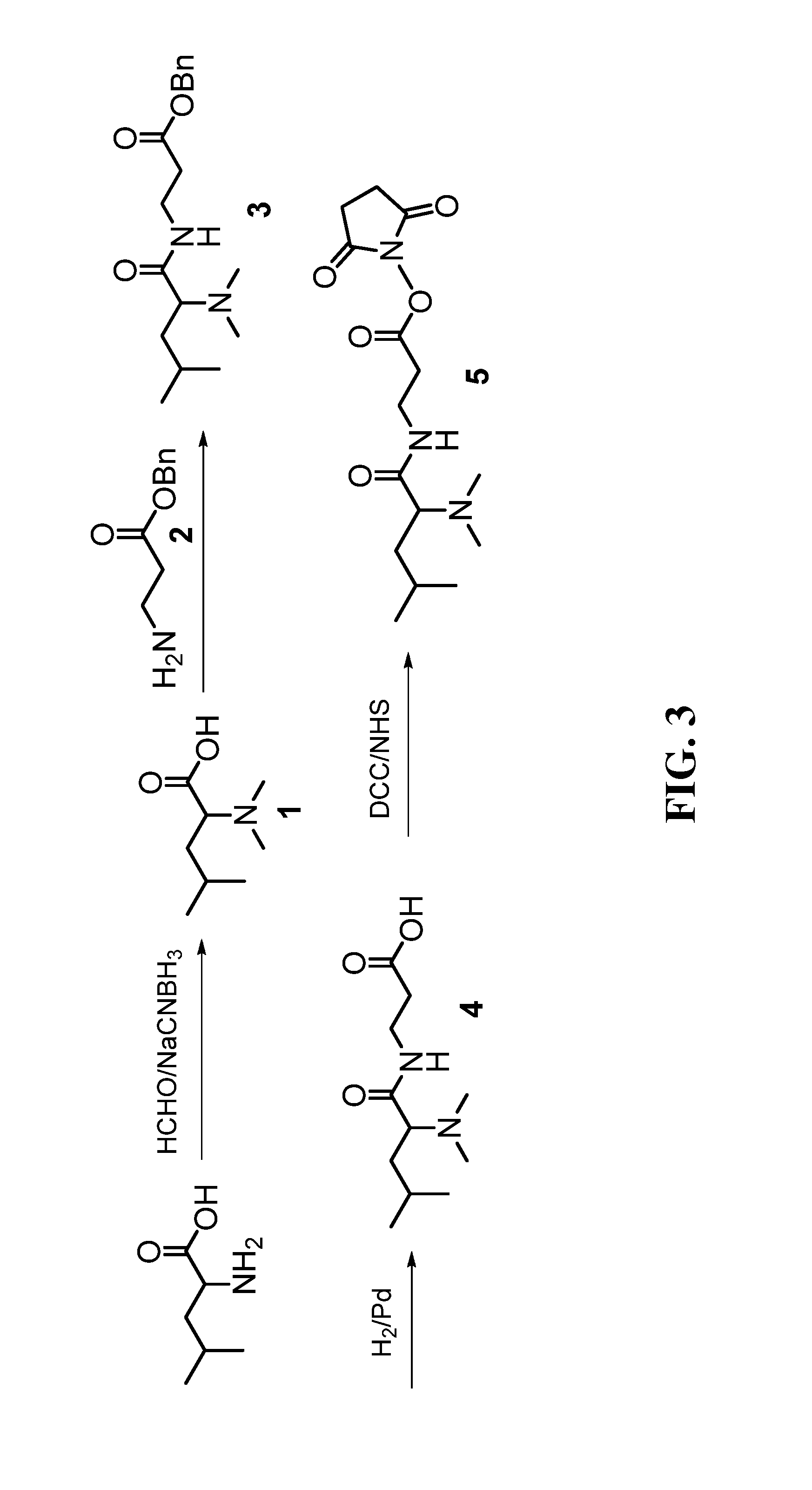 Deuterium isobaric tag reagents for quantitative analysis