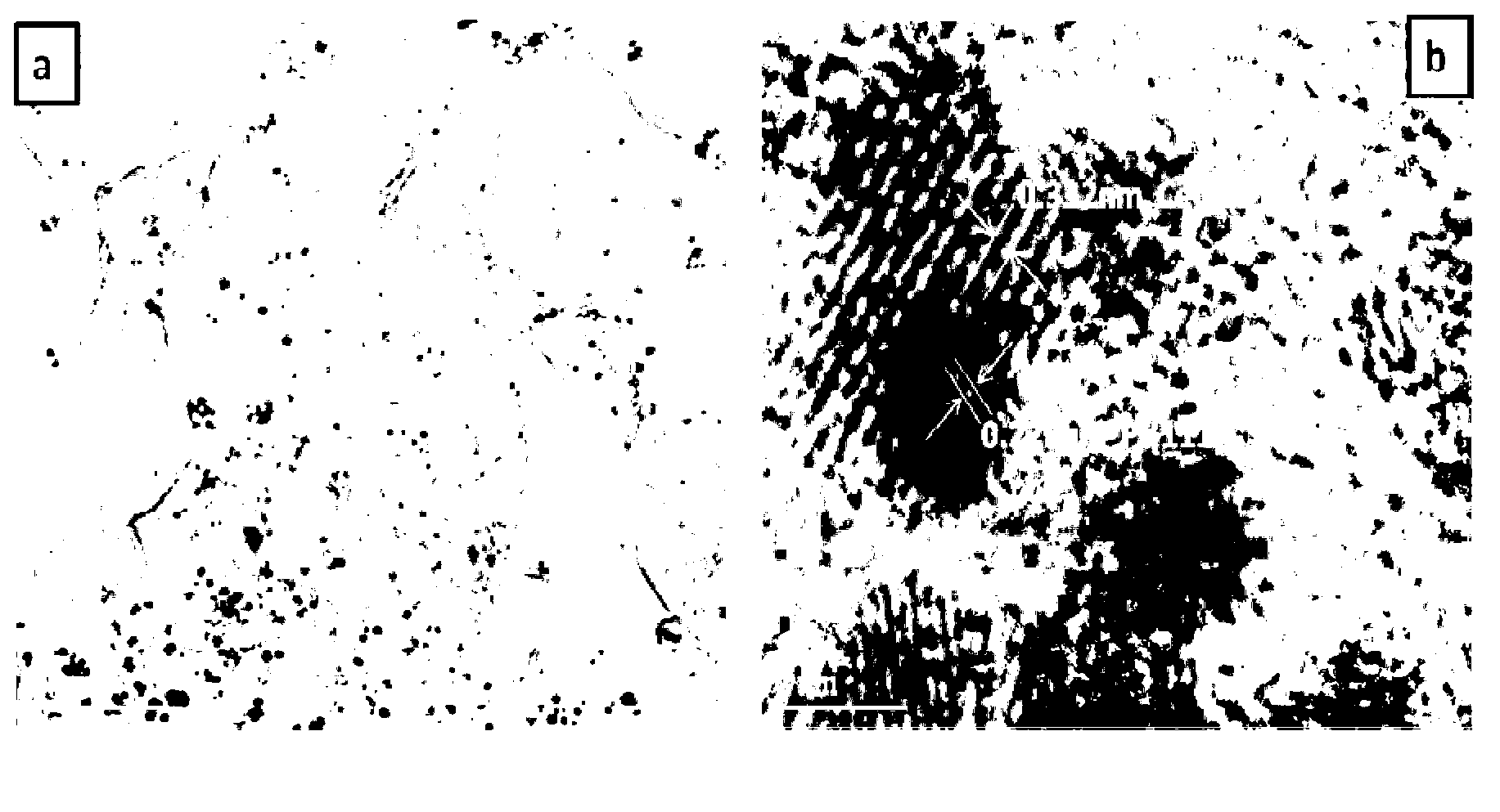 Fuel cell catalyst and preparation method thereof