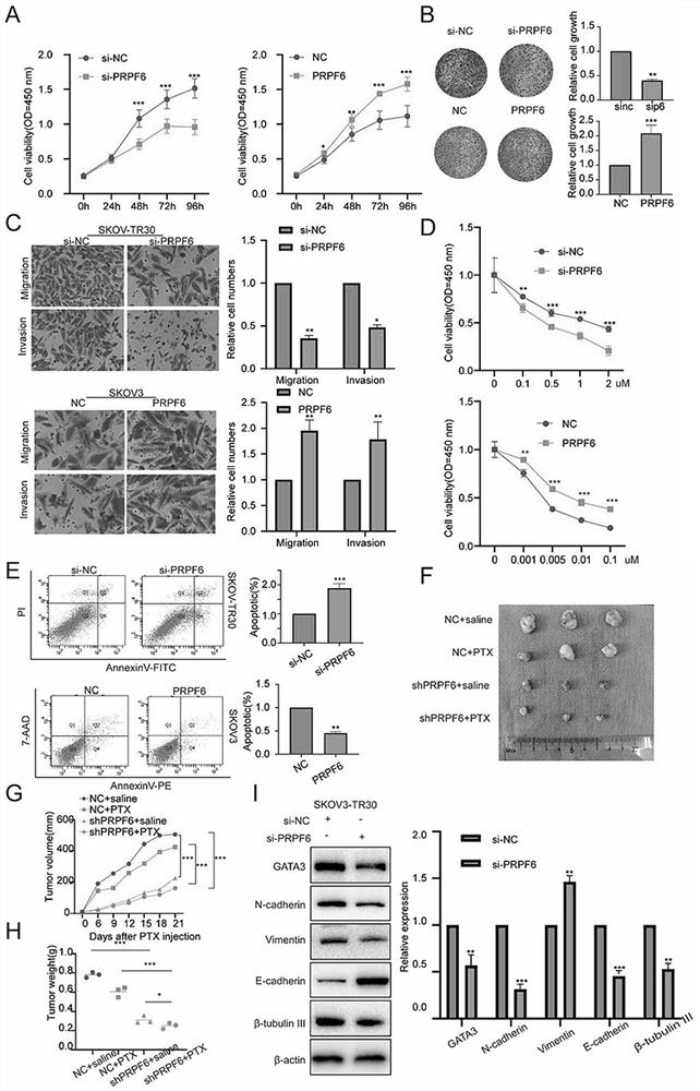 Marker for ovarian cancer and application thereof