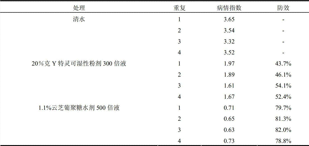 Trametes versicolor glucan water agent and preparation method thereof