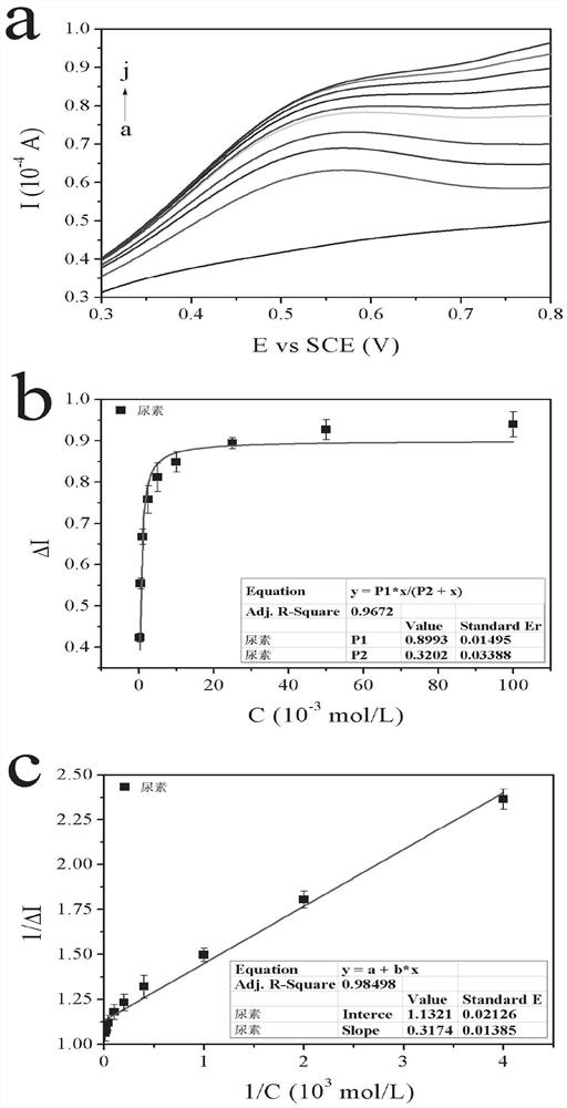 A kind of method of screening Helicobacter pylori urease inhibitor