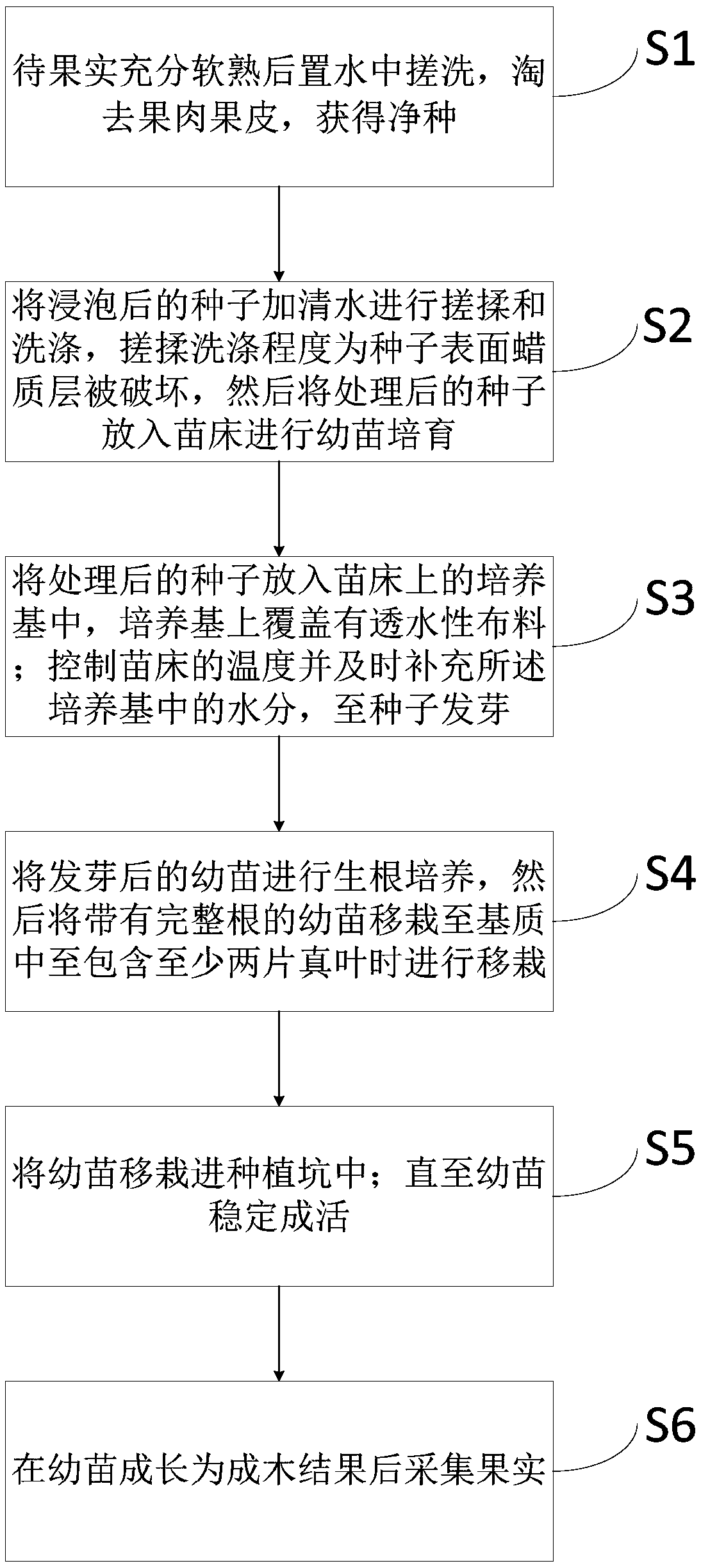 Method of planting Idesia polycarpa