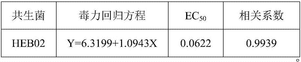 Insect pathogenic nematode symbiotic bacterium capable of inhibiting potato black scurf and applications of insect pathogenic nematode symbiotic bacterium