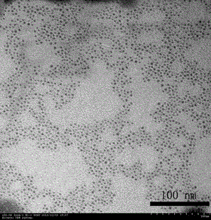 A preparation method of aptamer-induced ag2s quantum dots