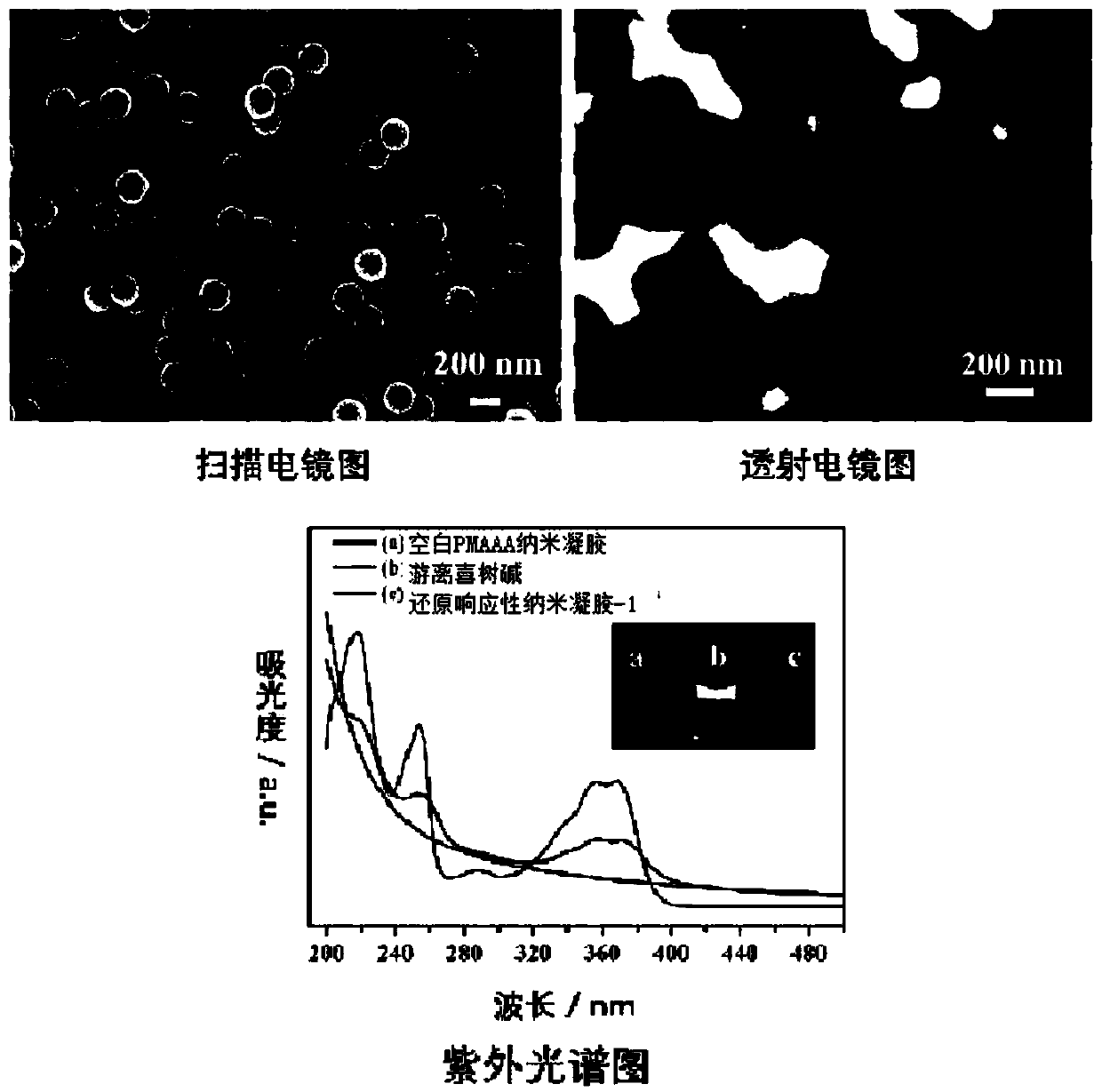 Camptothecin prodrug gel, and preparation method and use thereof