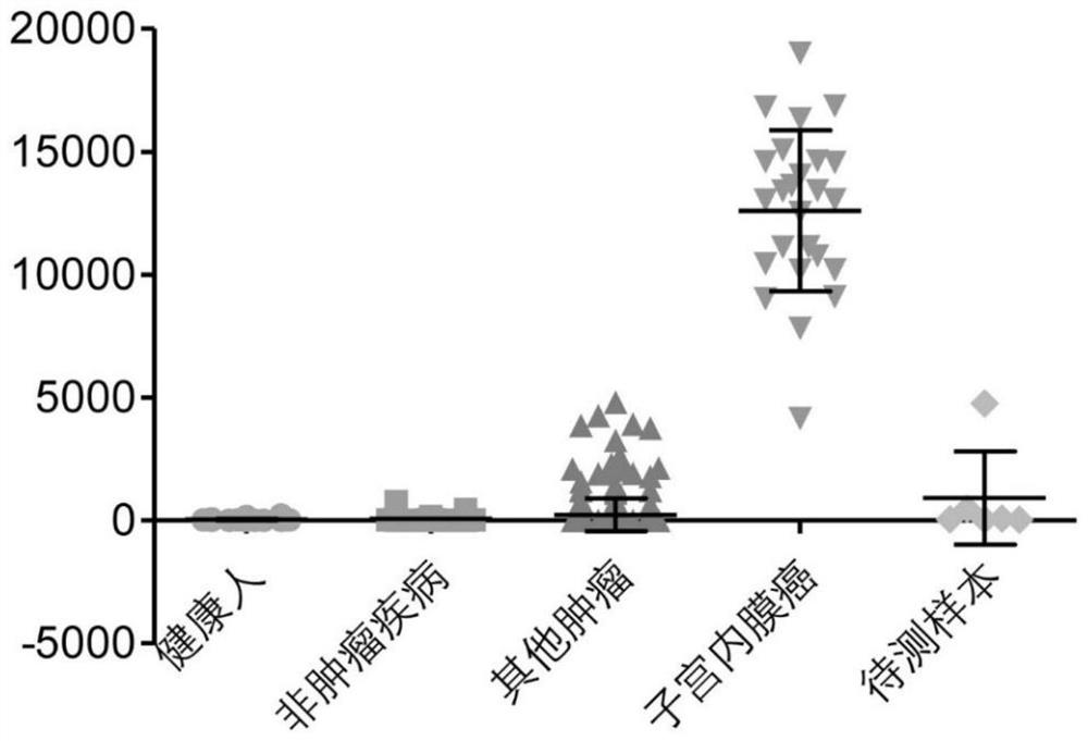 Peripheral blood TCR marker for endometrial cancer and detection kit and application thereof