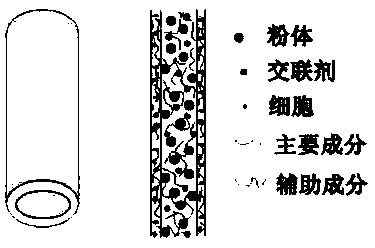 Fibers for tissue engineering bone repairing, tissue engineering bone repairing scaffold and preparation method thereof